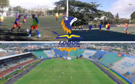 Los Lobos de la UPNFM han tomado la determinación de jugar sus partidos de local en este torneo Apertura 2020 en el estadio Nacional.
