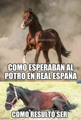 Los memes destrozan al Real España tras perder con Motagua en penales; '¿y el proceso?'