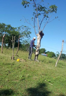 Romario Cavachuela, de campeón con Atlético Pinares a ordeñar vacas