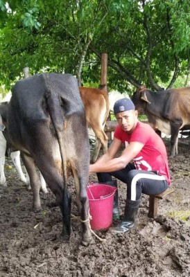 Romario Cavachuela, de campeón con Atlético Pinares a ordeñar vacas