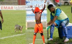 En Tocoa fue donde más curiosidades se dieron en la jornada, un perro ingresó al campo, el portero de Vida hizo los cambios y un niño fue el aguatero de los rojos.