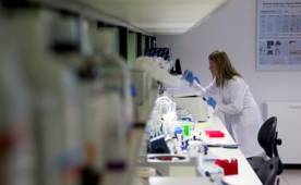 El próximo paso es iniciar, a corto plazo, un ensayo clínico colaborativo entre centros de excelencia oncológica que ya se está diseñando.