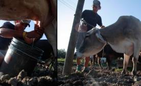 Gómez terminó el Bachillerato en Mercadotecnia en el instituto Perla del Ulúa.