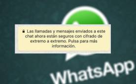 Este fue el mensaje que llegó a muchos usuarios de Whatsapp en sus conversaciones.