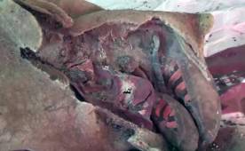 La mujer puede tener unos 1500 años, según los arqueólogos.