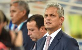 Rueda dirigió a Ecuador y Honduras en los mundiales Brasil 2014 y Sudáfrica 2010 respectivamente. Foto DIEZ.