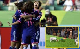 El pajarraco se ha convertido en un fenómeno en Japón.