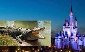 Orlando sigue siendo el foco mundial por sus desgarradoras noticias.