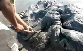 Captura de pantalla del video subido a las redes sociales.