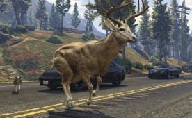 Un ciervo está experimentando en las urbanidades del GTA.