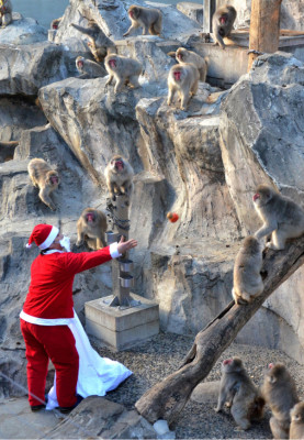 Las mejores imágenes de Navidad por el mundo