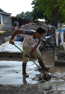Desolación: La otra cara de la tormenta Eta y su paso por Honduras