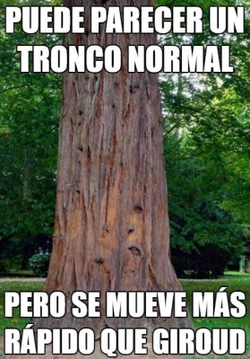 ¡Destruyen a los panzers de Alemania en los memes!