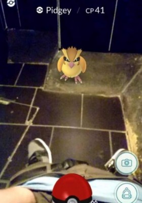 Los extraños lugares en los que han aparecido los Pokemon