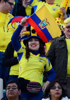 Aficionados le ponen sabor en la Copa América 2015