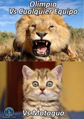Los 15 mejores memes que se han visto del clásico Olimpia-Motagua