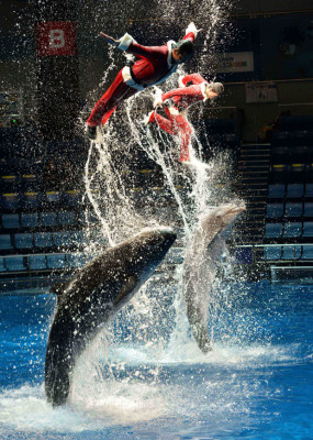 Las mejores imágenes deportivas del viernes por el mundo