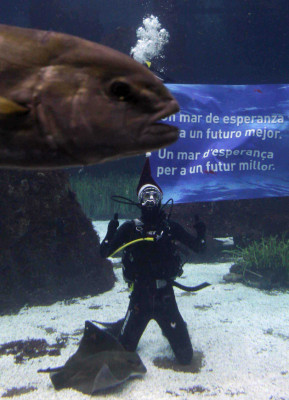 Las mejores imágenes deportivas del viernes por el mundo