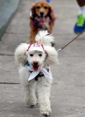 La carrera animalista fue un éxito en Tegucigalpa