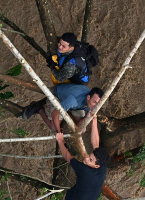 Impactante: El dramático rescate de hondureños que estaban en un árbol tras el paso de Iota