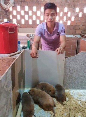 Las enormes ratas que China tenía preparadas como plato gourmet antes del coronavirus