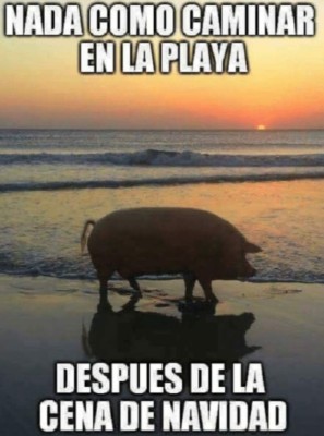 Desde el arbolito hasta lo gordo que puedes estar en enero: Los mejores y divertidos memes de la navidad 2019