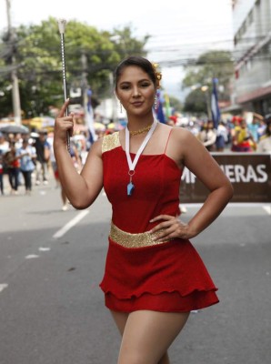 Las palillonas que se robaron las miradas en desfiles en San Pedro Sula