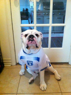 Hondureños por el mundo vibrando por la Bicolor