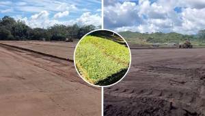 Se espera que el complejo deportivo esté terminado para mitad de año del 2023. Fotos: Olancho FC