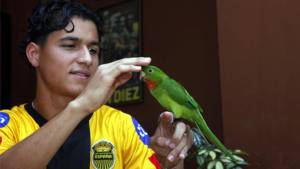 Gerson Rodas se ha convertido en la sensación aurinegra en esta temporada.