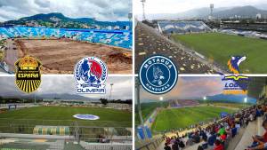 Olimpia, Motagua, Real España y Lobos UPNFM tienen hasta el próximo jueves 5 de enero para definir en que cancha jugarán.