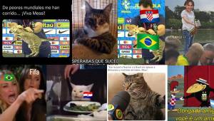 La ‘Canarinha’ cayó en penales y se despide de la Copa del Mundo. En la previa se generó una polémica por un gato que estuvo presente en la conferencia de Vinicius y un colaborador lo sacó de mala forma.