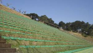 El Estadio de Janguito Malucelli en Brasil, es conocido por ser el primer estadio ecológico del país. Fue construido en el año 2007 y tiene capacidad para 3.150 personas. Las gradas del estadio están situadas sobre una ladera y los banquillos están compuestos por troncos de madera.