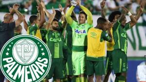 Palmeiras espera tener una respuesta positiva ante la solicitud de jugar con la playera de Chapecoense.