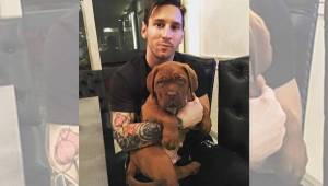 Este fue el cachorro que es nuevo integrante en la familia de Messi.