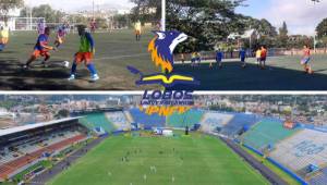 Los Lobos de la UPNFM han tomado la determinación de jugar sus partidos de local en este torneo Apertura 2020 en el estadio Nacional.