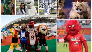 'Pecho' es la que más aparece previo a los partidos del Motagua. Marathón, Olimpia y Real España también tienen su mascota. Conocé también las de los clubes de Centroamérica.