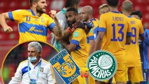 Tigres y Palmeiras definirán al primer finalista del Mundial de Clubes. Los del Tuca Ferreti quiere seguir haciendo historia.
