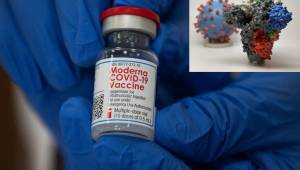 Por la nueva cepa del coronavirus, varios países el mundo ya cerraron sus fronteras a viajeros procedentes de Reino Unido. Esto es lo que se sabe de la mutación.