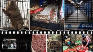 CNN ofreció imágenes del mercado de mariscos de Huanan, que también vende otros tipos de animales y donde habría mutado el coronavirus.