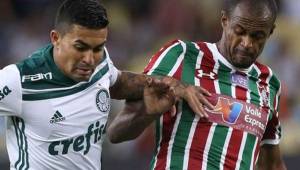 Palmeiras recibirá al Fluminense por la jornada 34 del fútbol brasileño.