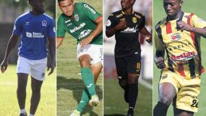 Varios equipos de la Liga Nacional y de la Liga de Ascenso aprovecharon los últimos días para inscribir nuevos jugadores.