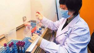 Científicos de China confirma que probó la vacuna contra el coronavirus en monos y resultó exitosa.