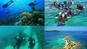La isla de Utila posee hermosos arrecifes para practicar el snorkel y buceo.