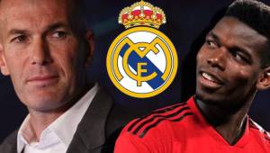 Zinedine Zidane quiere a Pogba en el Real Madrid la próxima temporada y el presidente del club ya lo sabe.