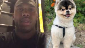 Sturridge espera poder saber del paradero de su mascota Lucky Lucci.