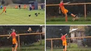 Ivan Gazdek, futbolista que juega para la Segunda división del condado Sisak-Moslavina en Croacia, fue expulsado por patear y matar una gallina en pleno partido. Una ONG llamada Amigos de los Animales lo denunció por su acto lamentable.
