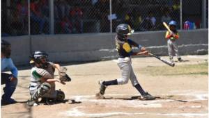 Los Delfines son los campeones nacionales de bésibol pre-infantil