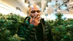 Mike Tyson está considerado como uno de los boxeadores más grandes de todos los tiempos por su brutalidad y ahora empresario de la marihuana.