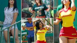Inició el torneo Apertura de la Liga Nacional de Honduras y las bellas chicas se hicieron presente a los estadios.